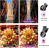 APEXEL 2 1 0.45X 140+ 12.5X Phone Camera Lens, in Cell Phone Clip-on Lens Kit Wide Angle Lens Macro Lens Clip-on iPhone