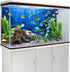 YongFoto 72x18 Inches Tropical Fish Terrarium Background, Deep Sea Marine Coral Polyester Aquarium Backdrop