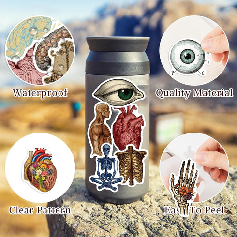 LOOAEFX 50PCS Pack, Vintage Anatomy Stickers - Medical Student Gift Biology Human Body Organ Vinyl Waterproof Decals