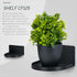 BRAINWAVZ Screwless Round Floating Shelf Mount for Security Cameras, Baby Monitors, Speakers, and More (Black)