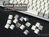 Ranked Blank Premium Keycap Set | 1.4 mm Thick PBT | Cherry Profile for Mechanical Keyboard (9009, 139 Keys)