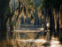 7x5ft Swamp Landscape Backdrop, Jungle Trees Woodland Forest Rainforest Photography Studio Background Party