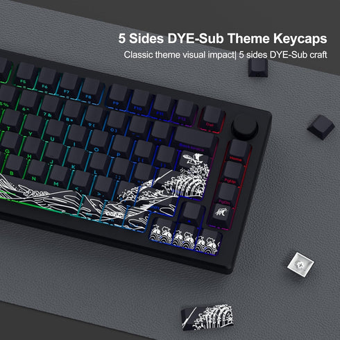 XVX Shine Through Keycaps, PBT Dye Sub Keycap Set, 131 Keys Cherry Profile Custom Keycaps for Mechanical Keyboards