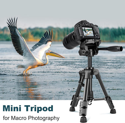 JOILCAN Mini Tripod for Camera, 25-inch Aluminum Tabletop Tripod with Remote and Holder for DSLR, Projectors