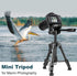 JOILCAN Mini Tripod for Camera, 25-inch Aluminum Tabletop Tripod with Remote and Holder for DSLR, Projectors