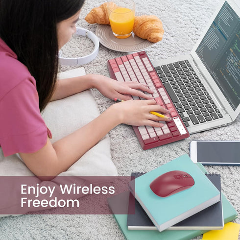 Wireless Keyboard and Mouse Combo, Lovaky 2.4G Full-Sized Ergonomic Keyboard Mouse, Quiet Click for Computer/Laptop