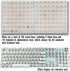 Zooplan 128 Pcs Keyboard Keys Gap Expander for Long Nails Typing and Gaming, Full Self-Adhesive Symbolic