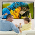 Mdbebbron 150 inch 16:9 Projection Screen Foldable Anti-Crease Portable Projector Movies Screen for Office Home Theater