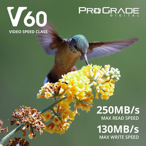 Prograde Digital SD UHS-II 128GB Card V60 - Up to 130MB/s Write, 250MB/s Read Speed for Vloggers, Filmmakers