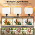 Overhead Phone Mount with 60 LED Light: Portable Selfie Light and Phone Holder for Desk, Camera Mount Arm Stand for