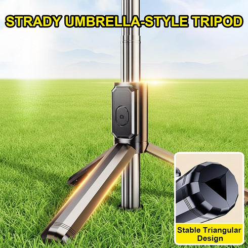 ZMDCAM 360 31.5 Portable Selfie Stick with Detachable Remote, Extendable Rotation Phone Tripod Stand, Mini Travel