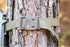 Moultrie Trail Camera Straps - 2-Pack Heavy-Duty Mounting Straps, Adjustable Universal Fit, 8-Foot Length