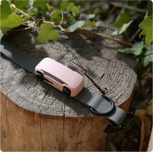 6 Tractive GPS Dog Tracker Cover - Pink