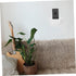 Wall-Mounted Phone Organizer & Charging Stand for Bathroom and Kitchen