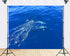 TryKid 10x6.5ft Deep Ocean Dolphin Blue Wave Backdrop Sparkling Water Marine Life Scene Photography Background Wildlife