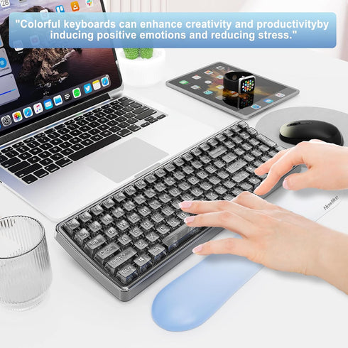 Wireless Transparent Keyboard and Mouse Combo with Soft Wrist Rest, Ergonomic Full-Size with Clear Keycaps, Compatible