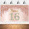 Sweet 16th Birthday Banner Backdrop Decorations for Girls, Rose Gold 16 Birthday Party Sign Supplies, Pink Poster Decor