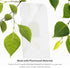 ZAGG Invisible Shield Fusion ECO Screen Protector for Apple iPhone 14 - Easy to Install Flexible Hybrid Protection,