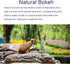 FotoZ tech FotoZ 8X 8X 17mm Monocular Telescope for iPhone & Android and Most Smartphone, with Optical Zoom Telephoto