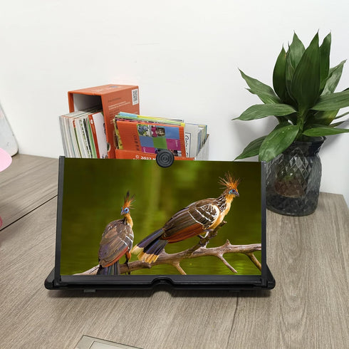 Ailenyun 14" Magnifier3D 14 inches) Mobile Phone Screen HD Mobile Phone Magnifier Projector Screen for Movies, Videos