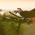 Delta Cycle Bicycle Phone Mount - Lockable Handlebar Holder Fits Any Phone Up to 3.5" x 7.8"