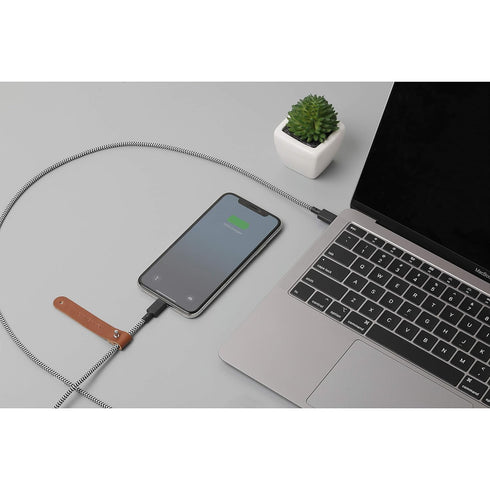 Native Union Belt Cable USB-C to Lightning, 4ft Ultra-Strong Reinforced Charging Cable with Leather Strap [MFi