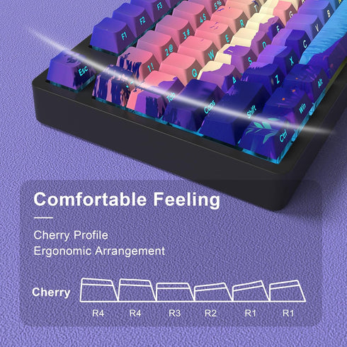 JSJT PBT Keycaps, Multi-Coloured Translucent Side Printed Keycap Set, 124 Keys Cherry Profile for Mechanical Keyboards