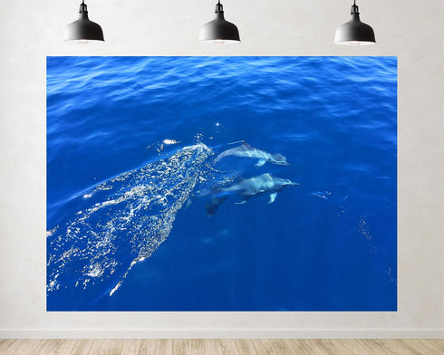 TryKid 6x6ft Deep Ocean Dolphin Blue Wave Backdrop Sparkling Water Marine Life Scene