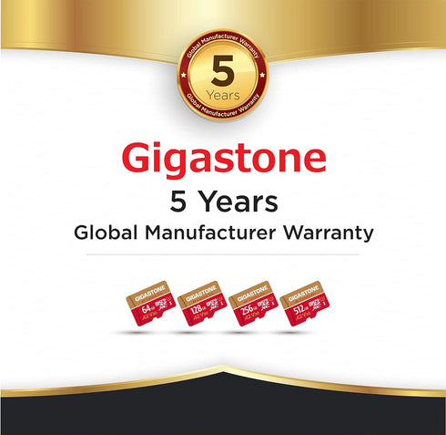 Gigastone 256GB Micro SD Card, 4K Camera Pro, A2 V30 for Smartphone, Gopro, Action Cams, Up to 100MB/s, with Adapter