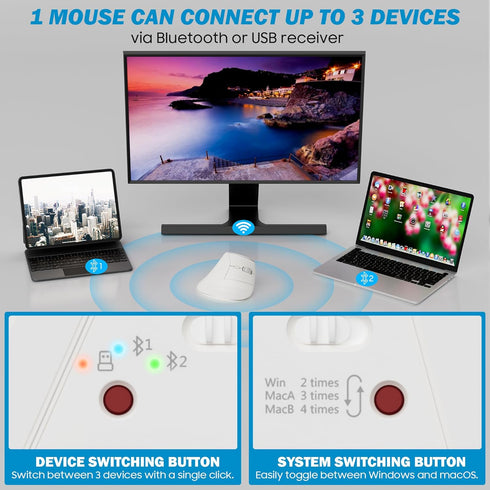 Wireless Vertical Ergonomic Mouse, Multi-Device with Bluetooth + 2.4G Connection, 4 Adjustable DPI for PC, Laptop,