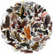 Eagle Stickers for Water Bottle, 50pcs Waterproof Vinyl Bird-of-Prey Stickers for Laptop, Phone, Bumper, Skateboard