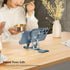 Phone Stand for Desk, Adjustable Cell Phone Stands, Foldable Metal Stands for All Smartphones