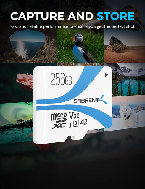 SABRENT Rocket V30 A2 256GB MicroSDXC Memory Card R100MB/s W30MB/s compatible with Steam Deck, Nintendo-Switch, Go Pro, Cameras, Smartphones. (SD-MQ30-256)