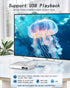 Mini DVD Player with HiFi Built-in Speakers, Region Free DVD Players for TV, HDMI & AV Output, Super Small CD/DVD