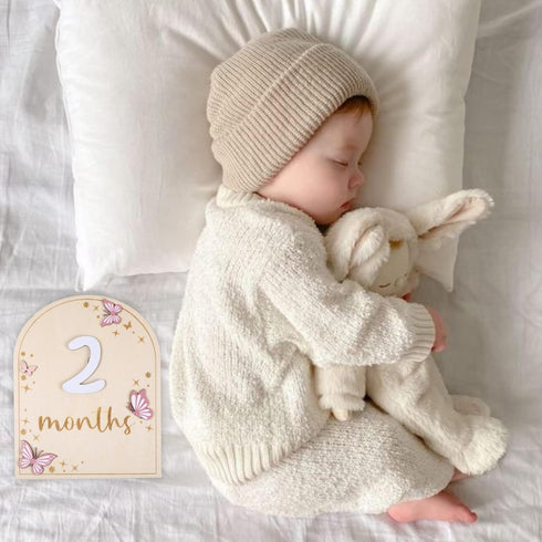 Monthly Baby Milestone Wooden Circle Sign, Newborn Gift for Girl and Boy, 1-12 Months (Butterfly)