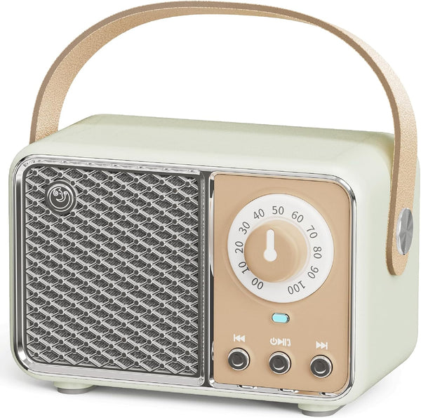 Aresrora Retro Bluetooth Speaker, Vintage Decor, Portable Small Wireless Radio Bluetooth Speaker, Cute