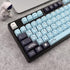 JSJT Japanese Keycap Set, Sky Blue 137 Keys PBT Dye Sublimation Custom Keycaps for Mechanical Keyboards