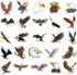 Eagle Stickers for Water Bottle, 50pcs Waterproof Vinyl Bird-of-Prey Stickers for Laptop, Phone, Bumper, Skateboard
