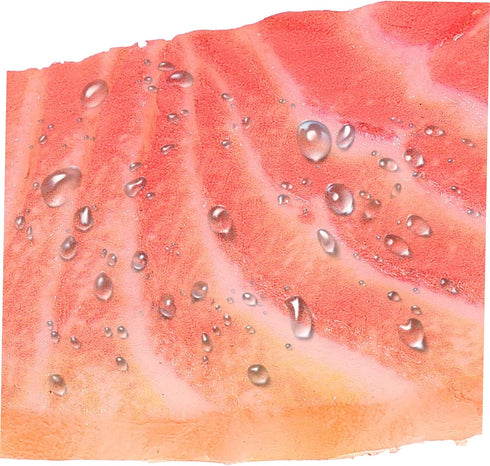 GARIOUANS Fake Salmon Model Realistic PVC Salmon Food Prop for Photography Restaurant Decor and Sushi Plate Display