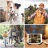 ULANZI MT-33 Camera Tripod, Flexible Mini Tripod with 1/4" Screw for Magic Arm, Compatible with iPhone and Cameras