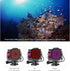 Waterproof Dive Case with Filters for GoPro Hero 9 10 11 12 Black, 60m Underwater Housing with Red, Snorkel, Magenta