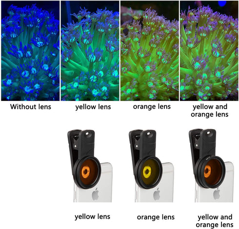 Reef Coral Lens Phone Kits for Phone 7 - 1 Dust Shield Case, 2 Lens Clips