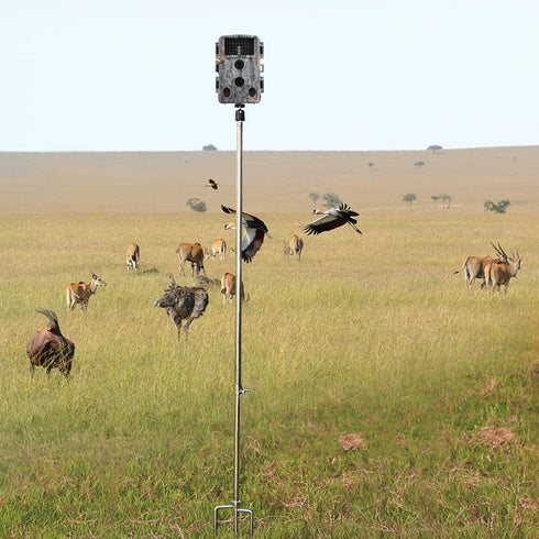 Game & Trail Camera Mount, Thickened Collapsible Stainless Steel Bracket, 360° Adjustable Universal Screw Connection