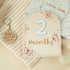 Monthly Baby Milestone Wooden Circle Sign, Newborn Gift for Girl and Boy, 1-12 Months (Butterfly)