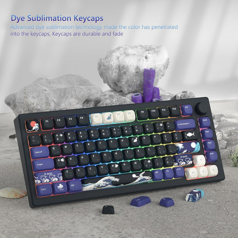 Womier MOA Keycaps, PBT Key Caps, Kanagawa Japanese Keycaps 75 Percent, Custom Keyboard Keycaps Set Gradation