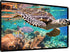 HUANYINGBJB Projector Screen, 4K 16:9 HD Rear Front Projector Screen Foldable Projection Screen
