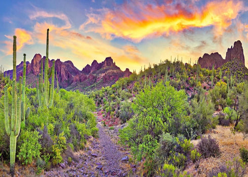 BELECO 7x5ft Arizona Desert Backdrop - Fire-Like Sky Mountain Landscape with Saguaro Cactus for Photography