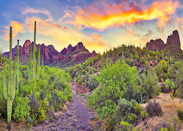 BELECO 7x5ft Arizona Desert Backdrop - Fire-Like Sky Mountain Landscape with Saguaro Cactus for Photography