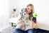 Cell Phone Dog Universal Selfie Stick - Dog Training Tool for Photos, Get Your Pooches Attention (Green)