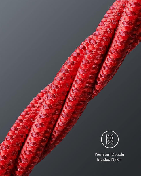 Anker 333 Fast Charging Cable (6ft, 100W, 2-Pack) for MacBook Pro, iPad Pro, Galaxy S21, Pixel, Switch & more (Red)